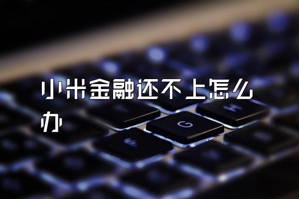 小米金融还不上怎么办