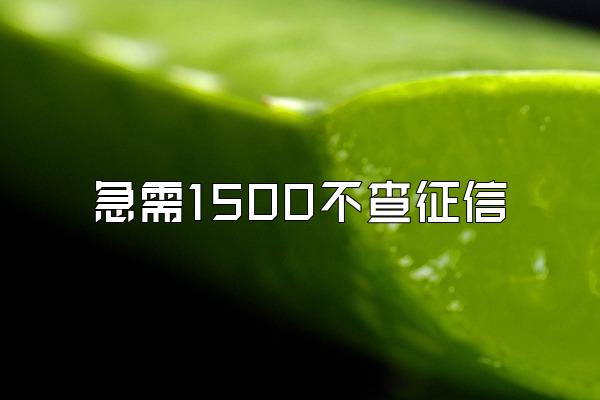 急需1500不查征信