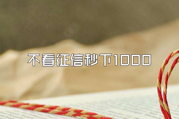 不看征信秒下1000