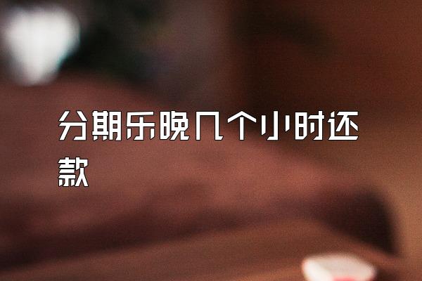 分期乐晚几个小时还款