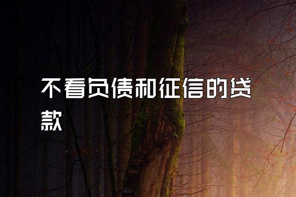 不看负债和征信的贷款