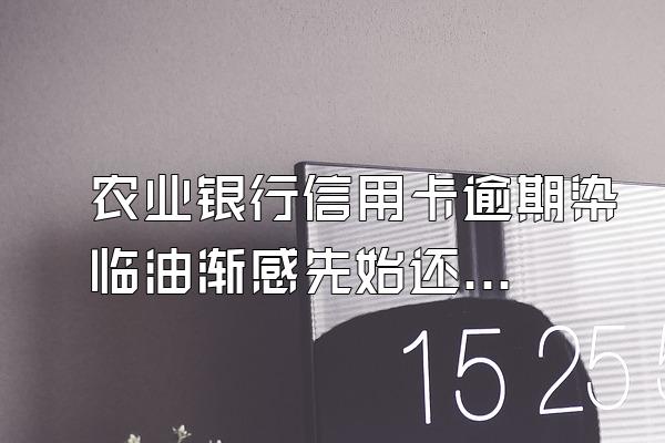 农业银行信用卡逾期染临油渐感先始还款的利息怎么算?