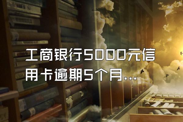 工商银行5000元信用卡逾期5个月总共要多少利息