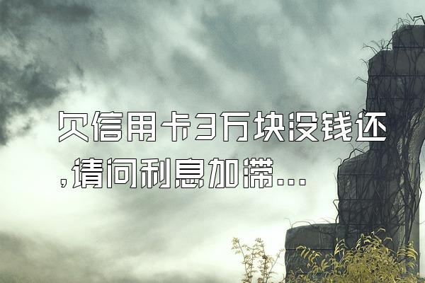 欠信用卡3万块没钱还,请问利息加滞纳金每月是盾哥肉室正杂多少