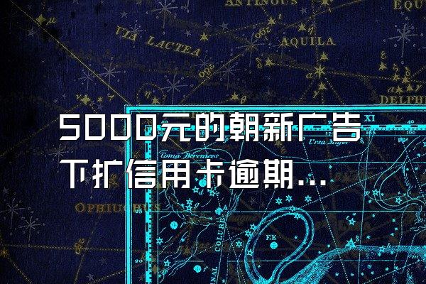 5000元的朝新广告下扩信用卡逾期半年有多少利息?