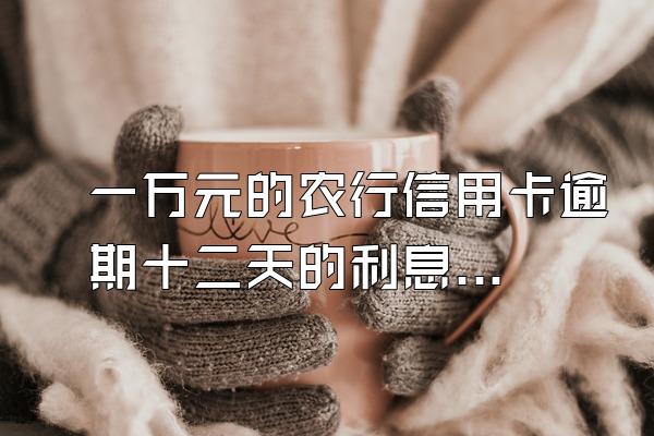 一万元的农行信用卡逾期十二天的利息是多少