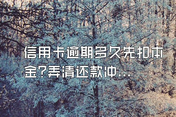信用卡逾期多久先扣本金?弄清还款冲还顺序