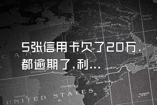 5张信用卡欠了20万,都逾期了,利息比月薪都高,还被网贷骗了1万...