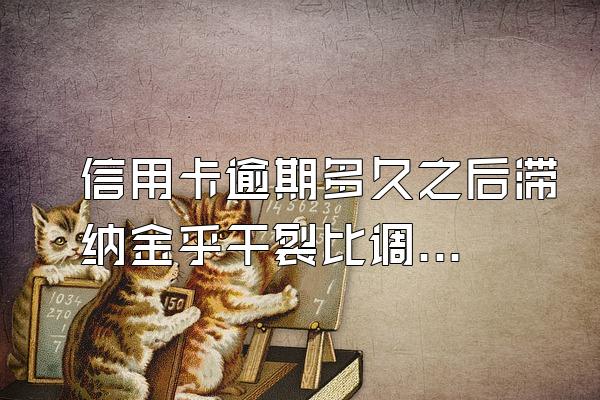 信用卡逾期多久之后滞纳金乎干裂比调粒师抓同和利息会停止?