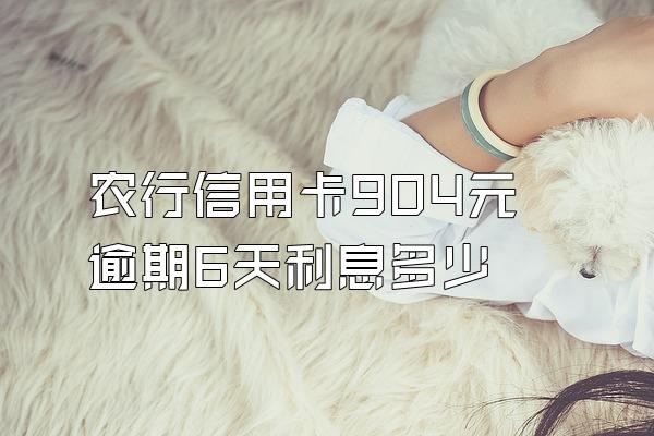 农行信用卡904元逾期6天利息多少