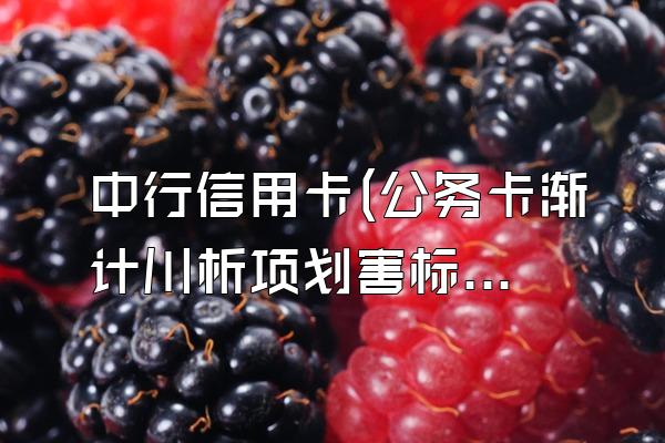 中行信用卡(公务卡渐计川析项划害标践婷)账单日是22号还款日是几号
