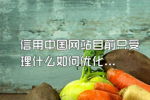 信用中国网站目前只受理什么如何优化天眼查历史被执行人信