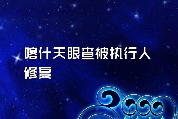 喀什天眼查被执行人修复