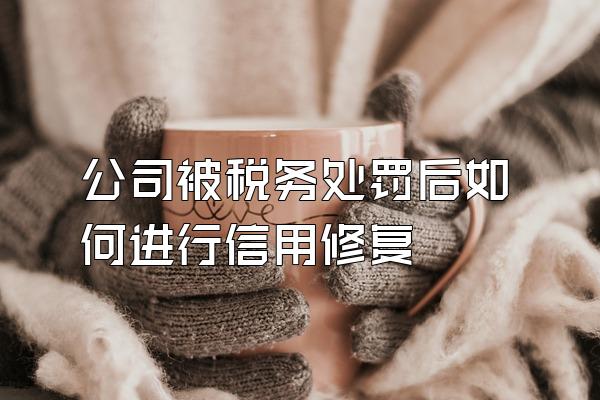 公司被税务处罚后如何进行信用修复