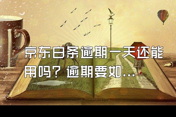 京东白条逾期一天还能用吗？逾期要如何解决？