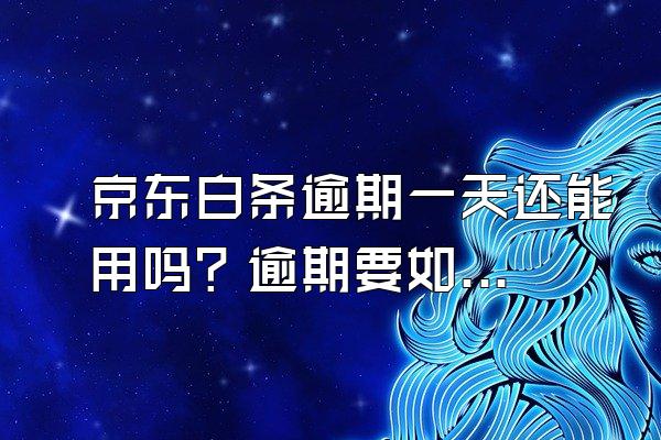 京东白条逾期一天还能用吗？逾期要如何解决？