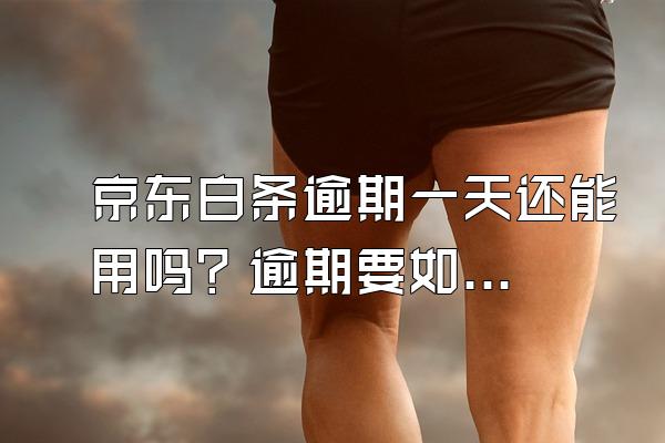 京东白条逾期一天还能用吗？逾期要如何解决？