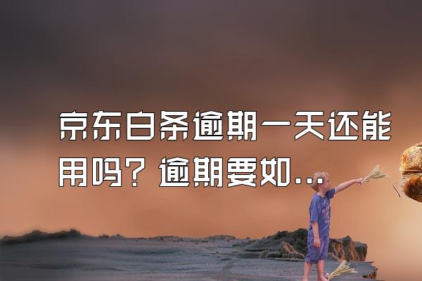京东白条逾期一天还能用吗？逾期要如何解决？