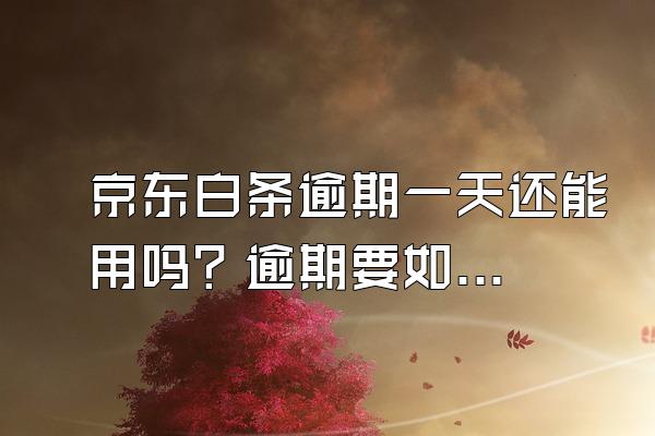 京东白条逾期一天还能用吗？逾期要如何解决？