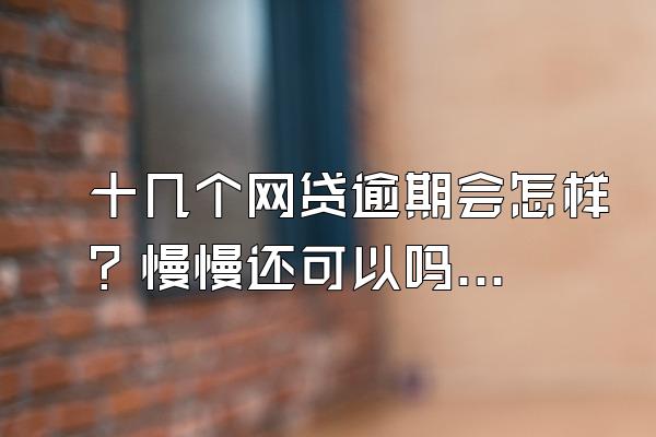十几个网贷逾期会怎样？慢慢还可以吗？