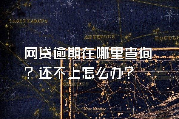 网贷逾期在哪里查询？还不上怎么办？