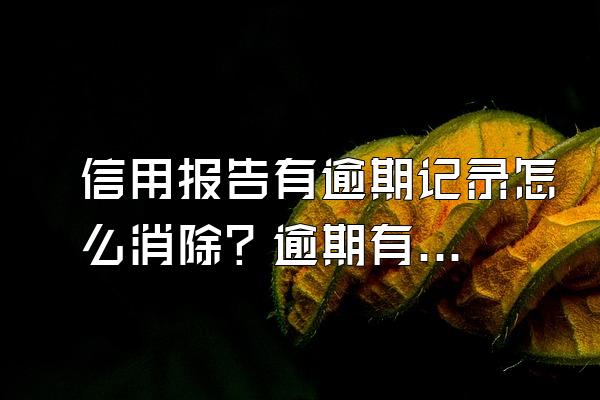 信用报告有逾期记录怎么消除？逾期有什么影响?