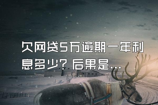 欠网贷5万逾期一年利息多少？后果是什么？