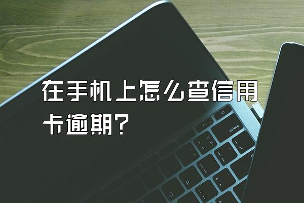 在手机上怎么查信用卡逾期？