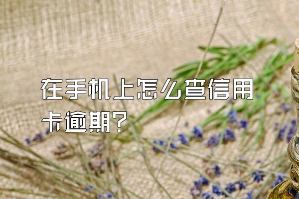 在手机上怎么查信用卡逾期？