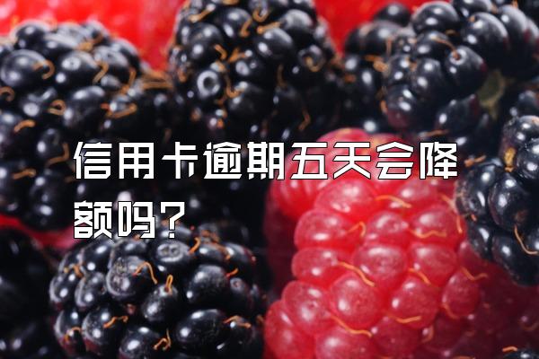 信用卡逾期五天会降额吗？