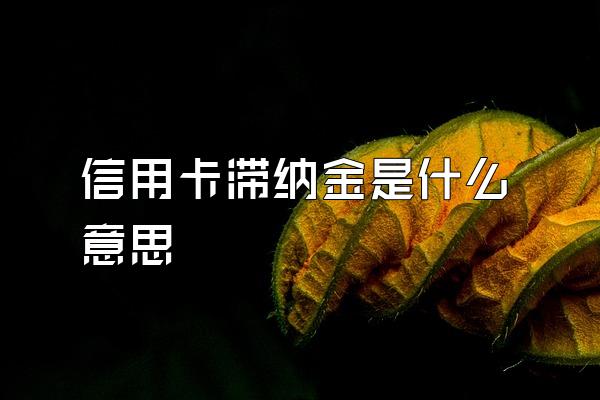 信用卡滞纳金是什么意思