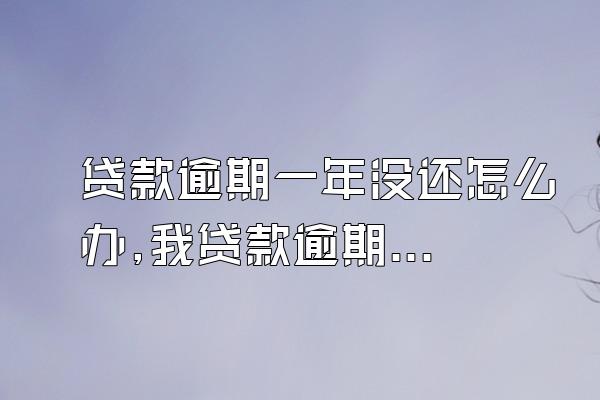 贷款逾期一年没还怎么办,我贷款逾期了一年多现在还没还,有