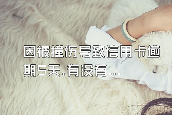 因被撞伤导致信用卡逾期5天,有没有补救的办法?