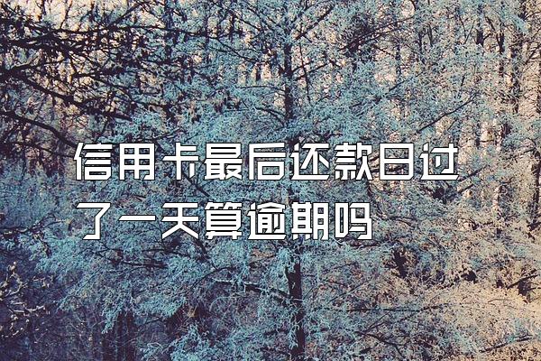 信用卡最后还款日过了一天算逾期吗