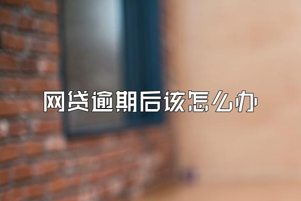 网贷逾期后该怎么办