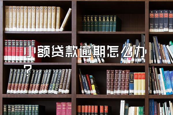 小额贷款逾期怎么办?