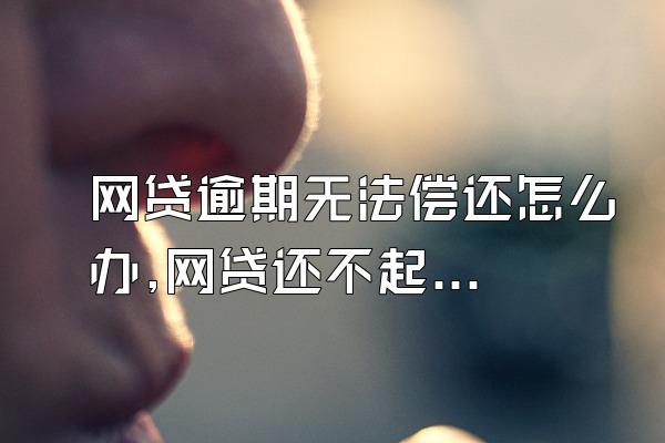网贷逾期无法偿还怎么办,网贷还不起最后的解决办法是什么?