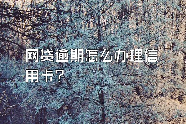 网贷逾期怎么办理信用卡？