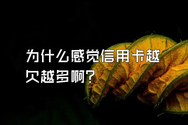 为什么感觉信用卡越欠越多啊？