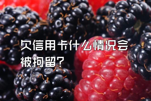 欠信用卡什么情况会被拘留？