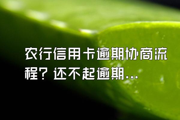 农行信用卡逾期协商流程？还不起逾期后怎么跟银行协商？