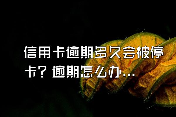 信用卡逾期多久会被停卡？逾期怎么办？