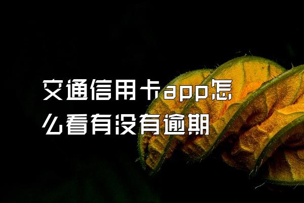 交通信用卡app怎么看有没有逾期
