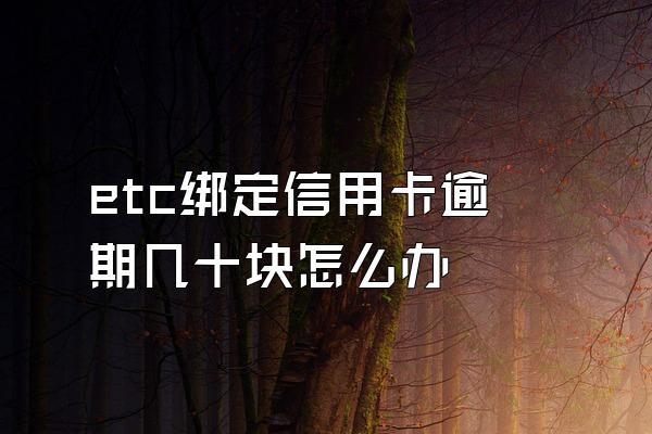 etc绑定信用卡逾期几十块怎么办