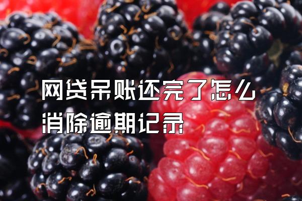 网贷呆账还完了怎么消除逾期记录