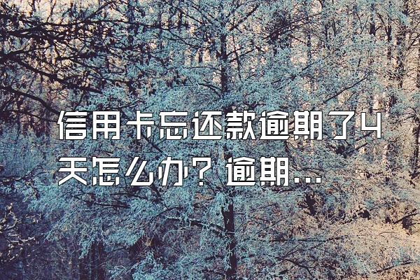 信用卡忘还款逾期了4天怎么办？逾期怎么办理停息挂账？