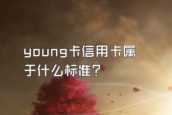 young卡信用卡属于什么标准？