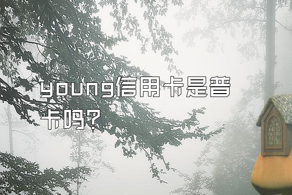 young信用卡是普卡吗？