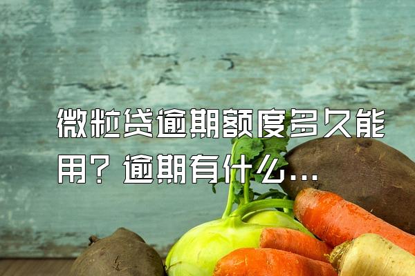 微粒贷逾期额度多久能用？逾期有什么后果？