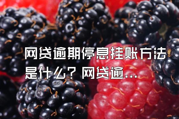 网贷逾期停息挂账方法是什么？网贷逾期怎么协商？